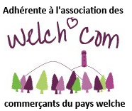logo-welchcom-a